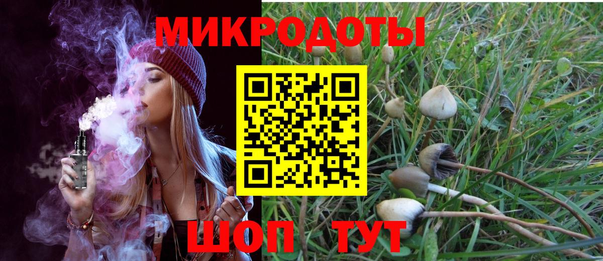 Галлюциногенные грибы MAGIC MUSHROOMS Ефремов