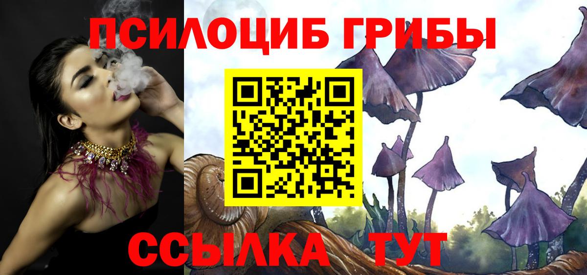 Псилоцибиновые грибы прущие грибы  Псилоцибиновые грибы Psilocybe  Ефремов  Вход с VPN 